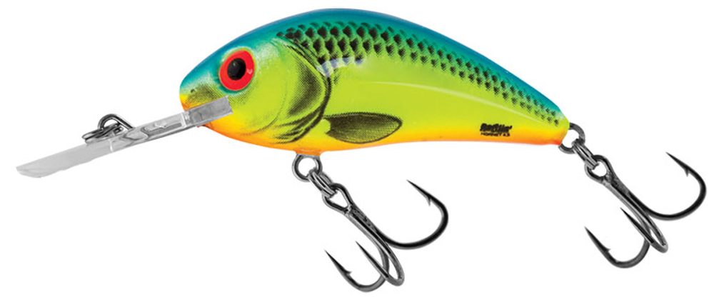 E-shop Salmo Wobler Rattlin Hornet Floating 5,5cm - Chartreuse Blue,Salmo Wobler Rattlin Hornet Floating 5,5cm - Chartreuse Blue