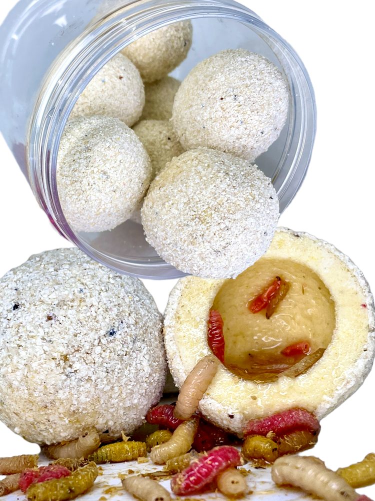 LK Baits Nutrigo Monster Live Stink Woorm - Nahnilý červ 250ml - 25-30mm 8ks