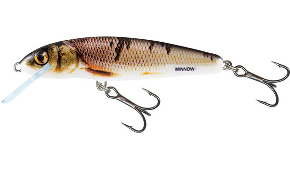 Salmo Wobler Minnow Floating 7cm - Wounded Dace