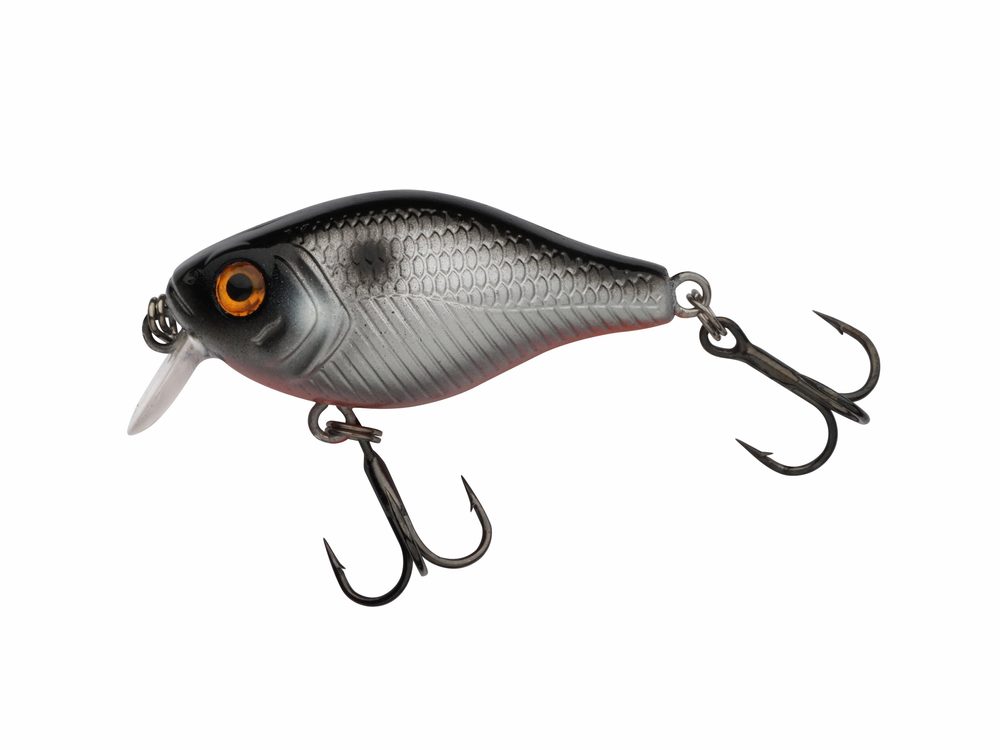 E-shop Berkley Wobler Pulse Fry Shallow 3,8cm - Fegis,Berkley Wobler Pulse Fry Shallow 3,8cm - Fegis