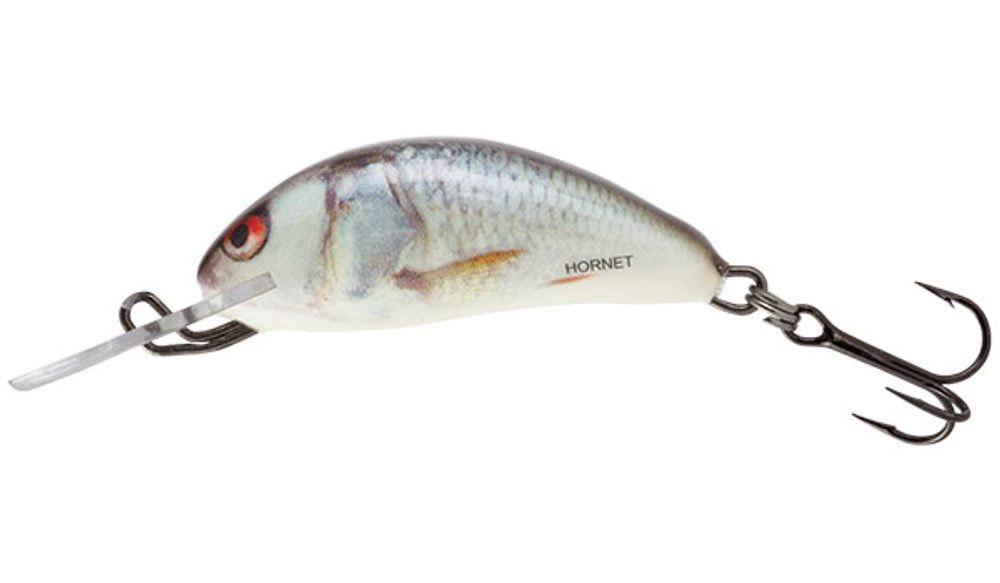 E-shop Salmo Wobler Hornet Floating 4cm - Real Dace,Salmo Wobler Hornet Floating 4cm - Real Dace
