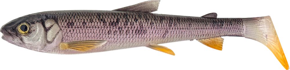 E-shop Savage Gear Gumová nástraha 3D Whitefish Shad Wagasaki 2ks - 15cm 27g,Savage Gear Gumová nástraha 3D Whitefish Shad Wagasaki 2ks - 15cm 27g