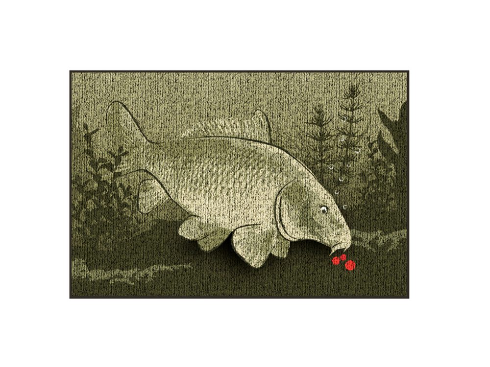 Delphin Roho? CatchME! Kapr,Delphin Roho? CatchME! Kapr