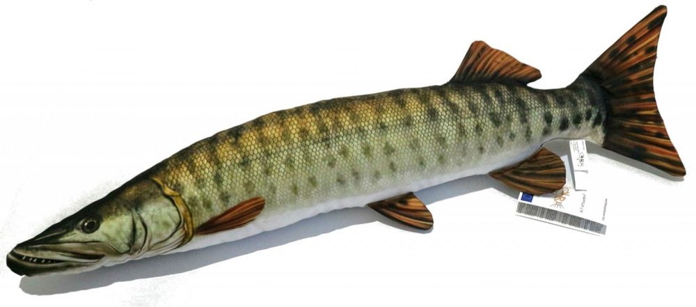 E-shop Gaby Polštář Štika Muskalunga - 80 cm,Gaby Polštář Štika Muskalunga - 80 cm