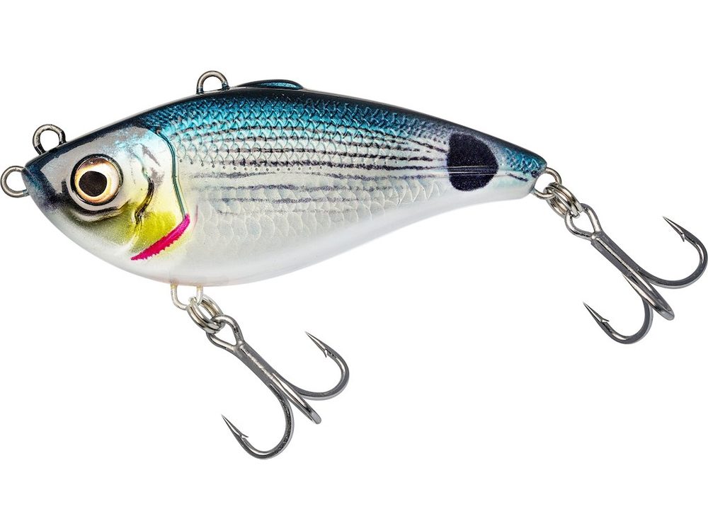 E-shop Westin Cikáda Buzzvibe 10cm 57g - Saddled Bream,Westin Cikáda Buzzvibe 10cm 57g - Saddled Bream