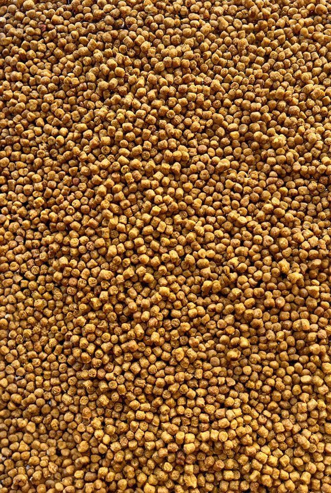 E-shop FeederBait Pelety Method Pellet 2mm 800g - Vanilka,FeederBait Pelety Method Pellet 2mm 800g - Vanilka