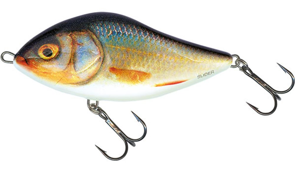 E-shop Salmo Wobler Slider Sinking 7cm - Real Roach,Salmo Wobler Slider Sinking 7cm - Real Roach