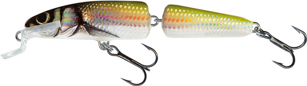 E-shop Salmo Wobler Fanatic Floating Holo Bleak - 7cm,Salmo Wobler Fanatic Floating Holo Bleak - 7cm