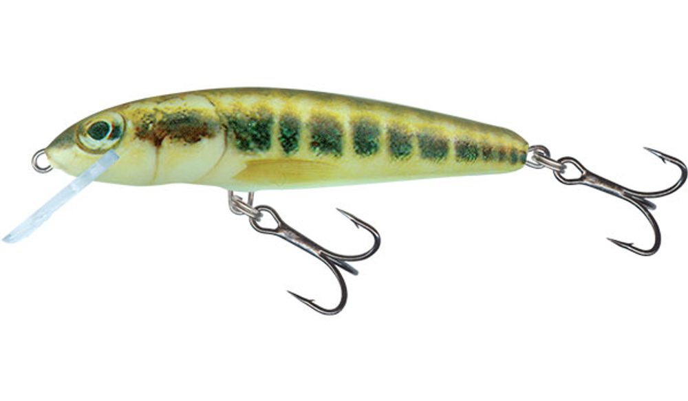 Salmo Wobler Minnow Floating 6cm - Minnow,Salmo Wobler Minnow Floating 6cm - Minnow