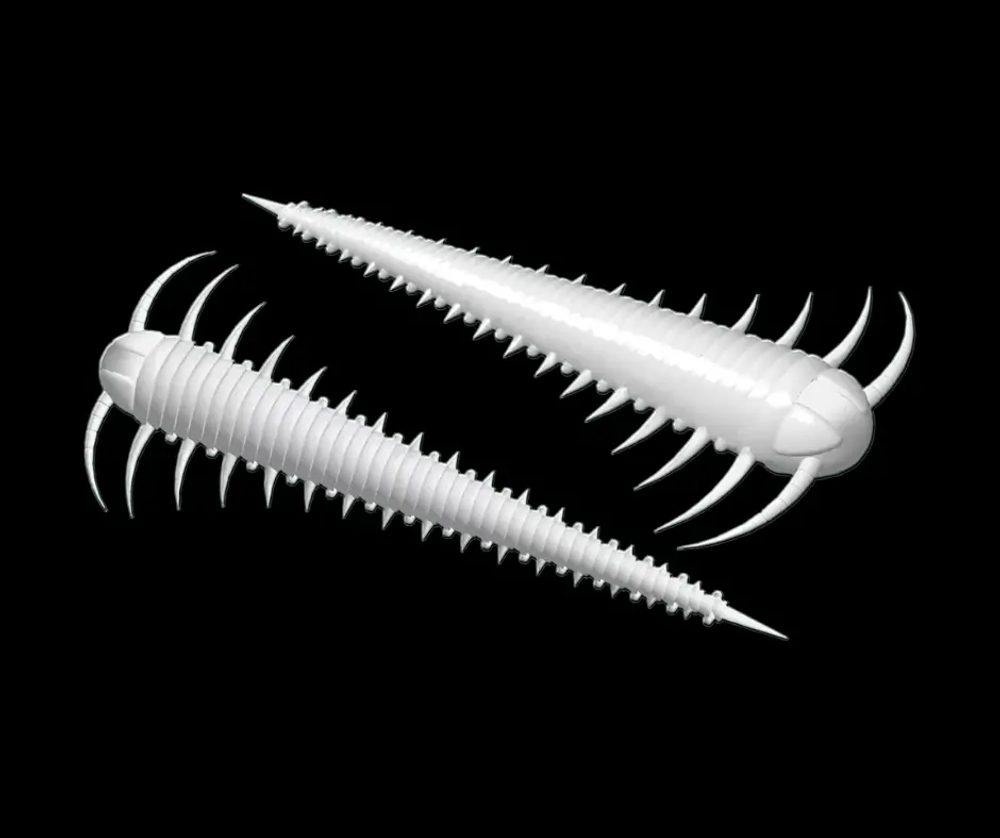 Libra Lures Červ Slayzur 55 12ks - White 001