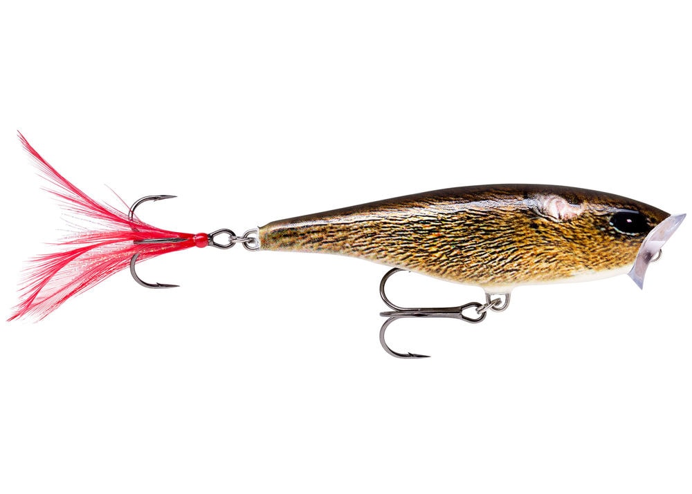 E-shop Rapala Wobler Skitter Pop Top Water Fresh FML - 5cm 7g,Rapala Wobler Skitter Pop Top Water Fresh FML - 5cm 7g