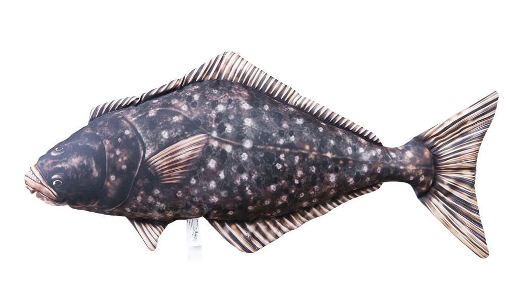 E-shop Gaby Polštář Halibut 72cm,Gaby Polštář Halibut 72cm
