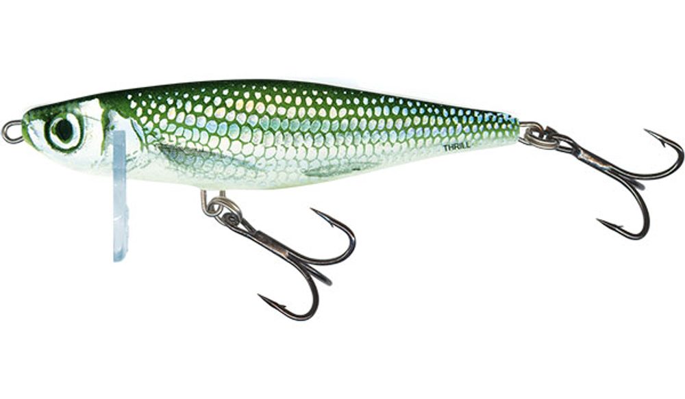 Salmo Wobler Thrill Sinking 7cm - Holo Bleak