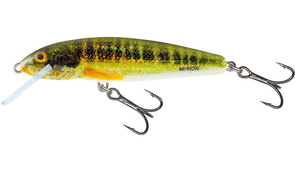 E-shop Salmo Wobler Minnow Sinking 5cm - Holo Real Minnow