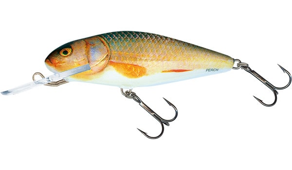 E-shop Salmo Wobler Perch Deep Runner 8cm - Real Roach