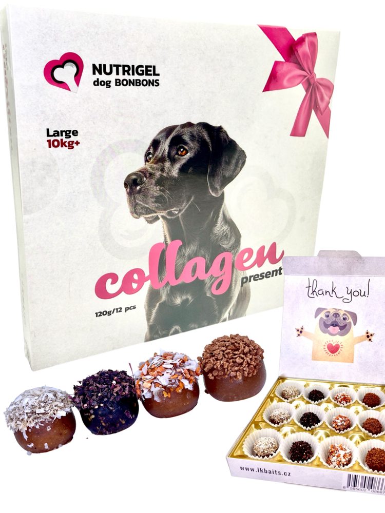 E-shop LK Baits Pet Kolagenová bonboinéra Nutrigel Collagen Bonbons pro větší psy 130g,LK Baits Pet Kolagenová bonboinéra Nutrigel Collagen Bonbons pro větší