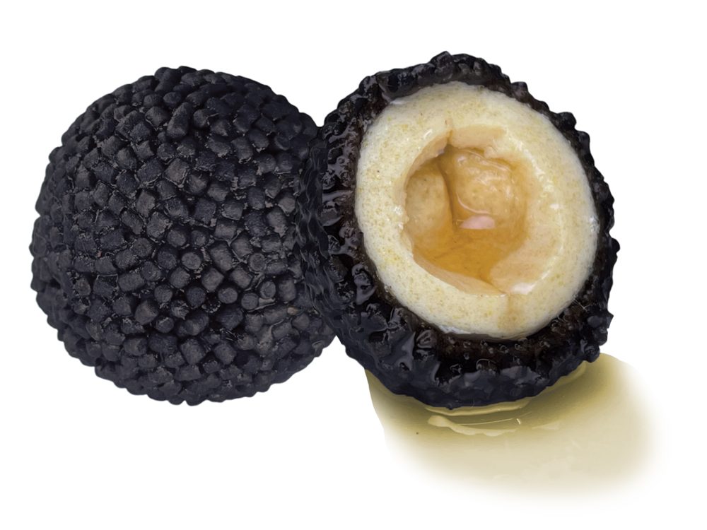 E-shop LK Baits Nutrigo Pellets Black Halibut - 20mm 200ml,LK Baits Nutrigo Pellets Black Halibut - 20mm 200ml
