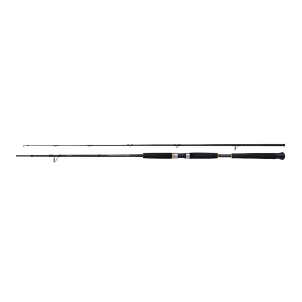 E-shop Shimano Prut Beastmaster AX Pilk 2,40m 100-200g,Shimano Prut Beastmaster AX Pilk 2,40m 100-200g