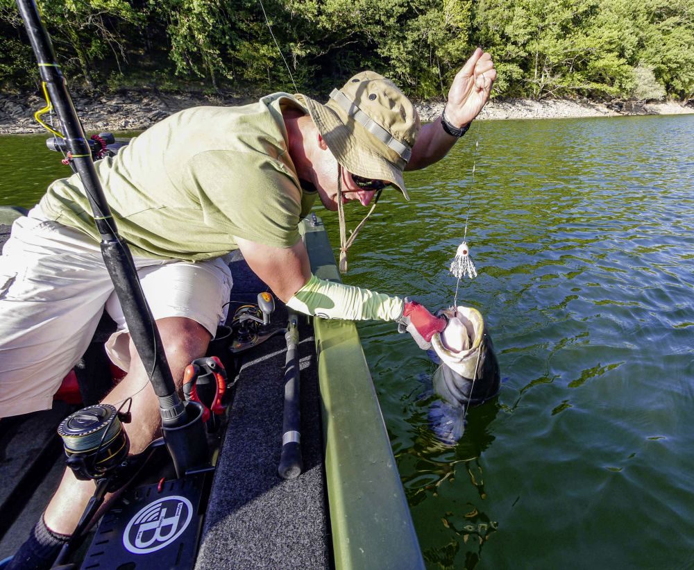 Black Cat Chobotnička Battle Teaser Žlutá/Černá 160g