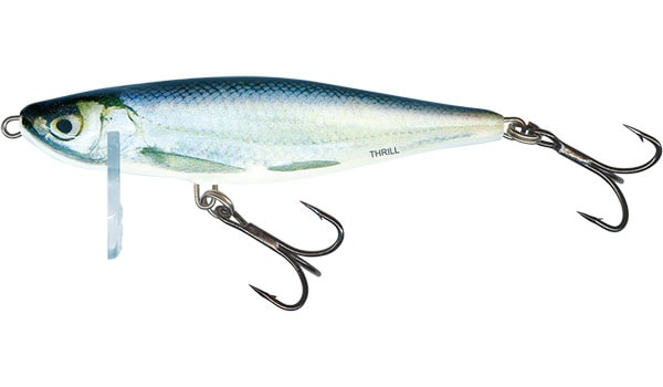 E-shop Salmo Wobler Thrill Sinking 7cm - Real Bleak,Salmo Wobler Thrill Sinking 7cm - Real Bleak