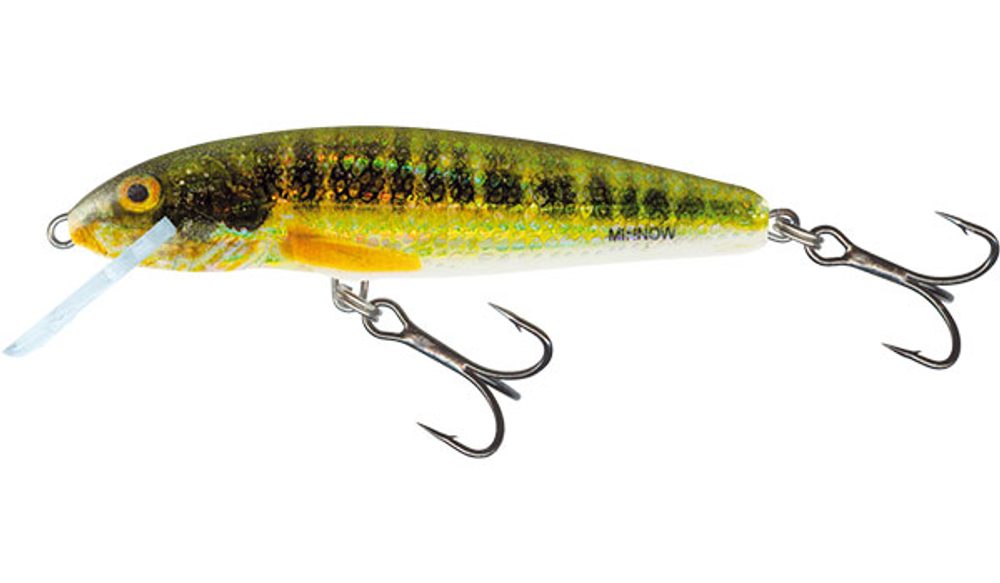 Fotografie SALMO VOBLER MINNOW 7 FLOATING HOLO REAL MINNOW