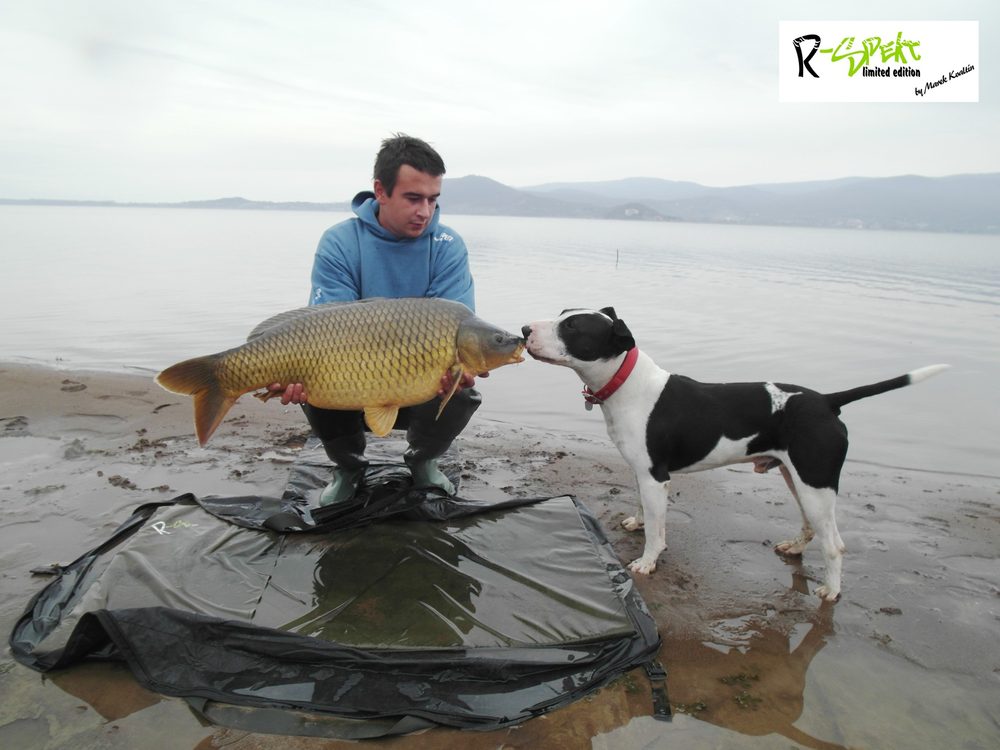 R-Spekt Podložka Compact Multi mat Monster