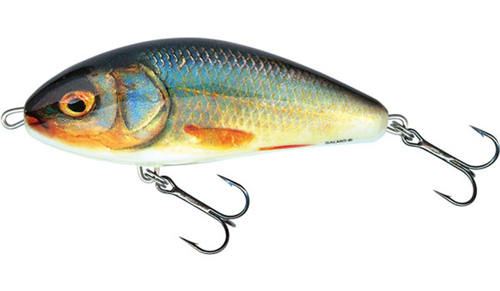 E-shop Salmo Wobler Fatso Floating Real Roach - 10cm,Salmo Wobler Fatso Floating Real Roach - 10cm