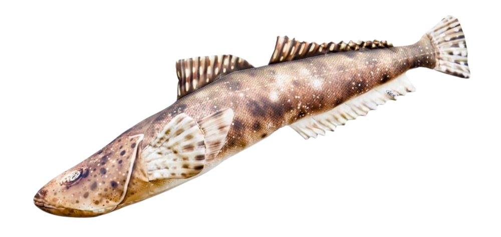 Gaby Polštář Ploskohlavec tmavý 102cm,Gaby Polštář Ploskohlavec tmavý 102cm