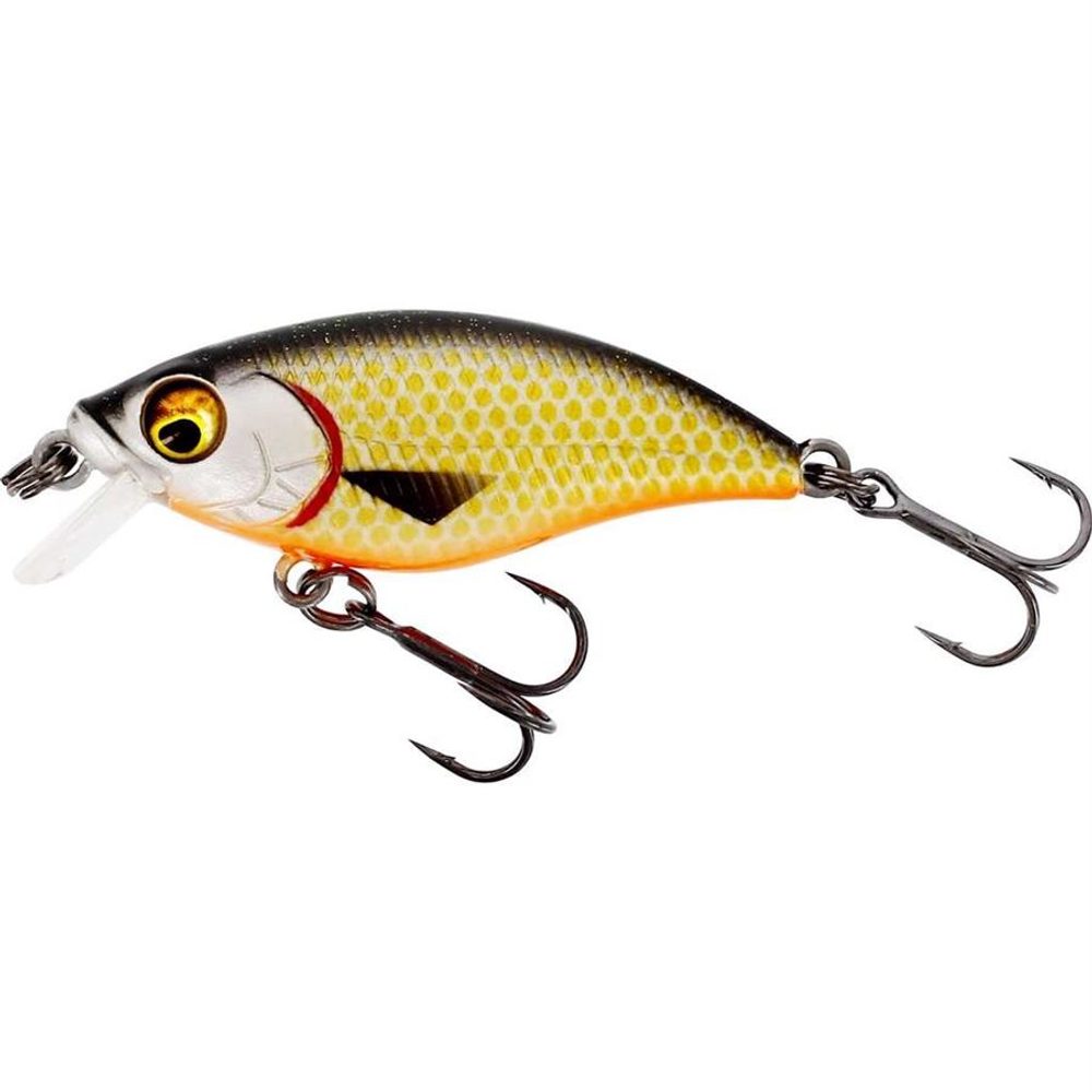 E-shop Westin Wobler BuzzBite SR Crankbait Low Floating Official Roach - 6g 5cm,Westin Wobler BuzzBite SR Crankbait Low Floating Official Roach - 6g 5cm