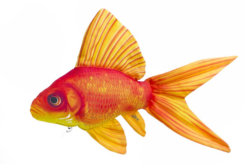 E-shop Gaby Polštář Zlatá rybka 60 cm