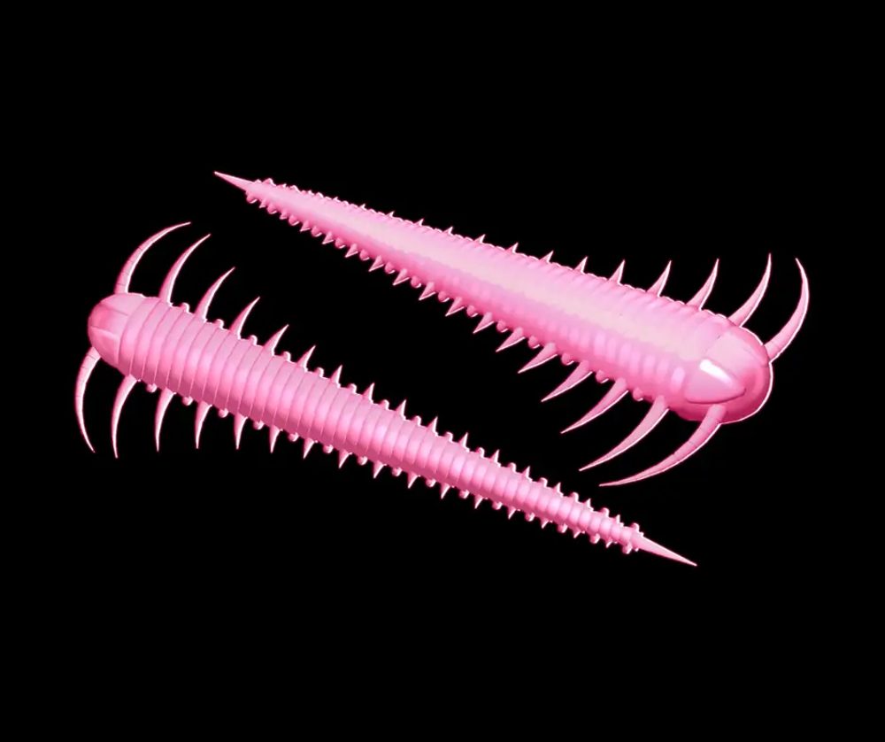 Libra Lures Červ Slayzur 55 12ks - Bubble Gum 017