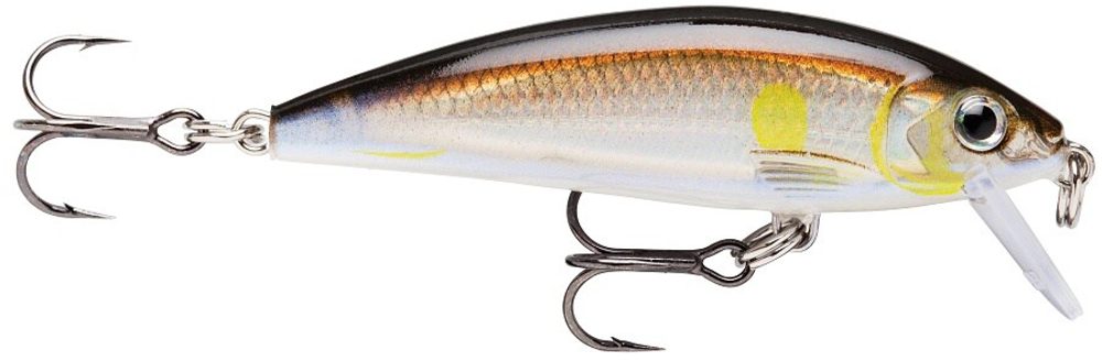 Fotografie Rapala Wobler X-Rap Count Down AYU - 7cm 10g