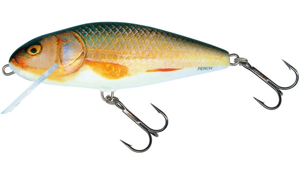 Fotografie Salmo Wobler Perch Floating 12cm - Real Roach