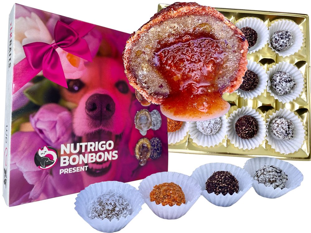 Fotografie LK Baits Pet Sváteční bonboniéra Nutrigo Bonbons Present Small pro menší psy