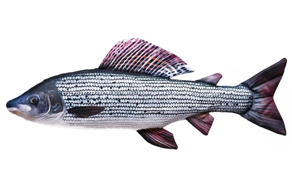 Gaby Polštář Lipan 65 cm,Gaby Polštář Lipan 65 cm