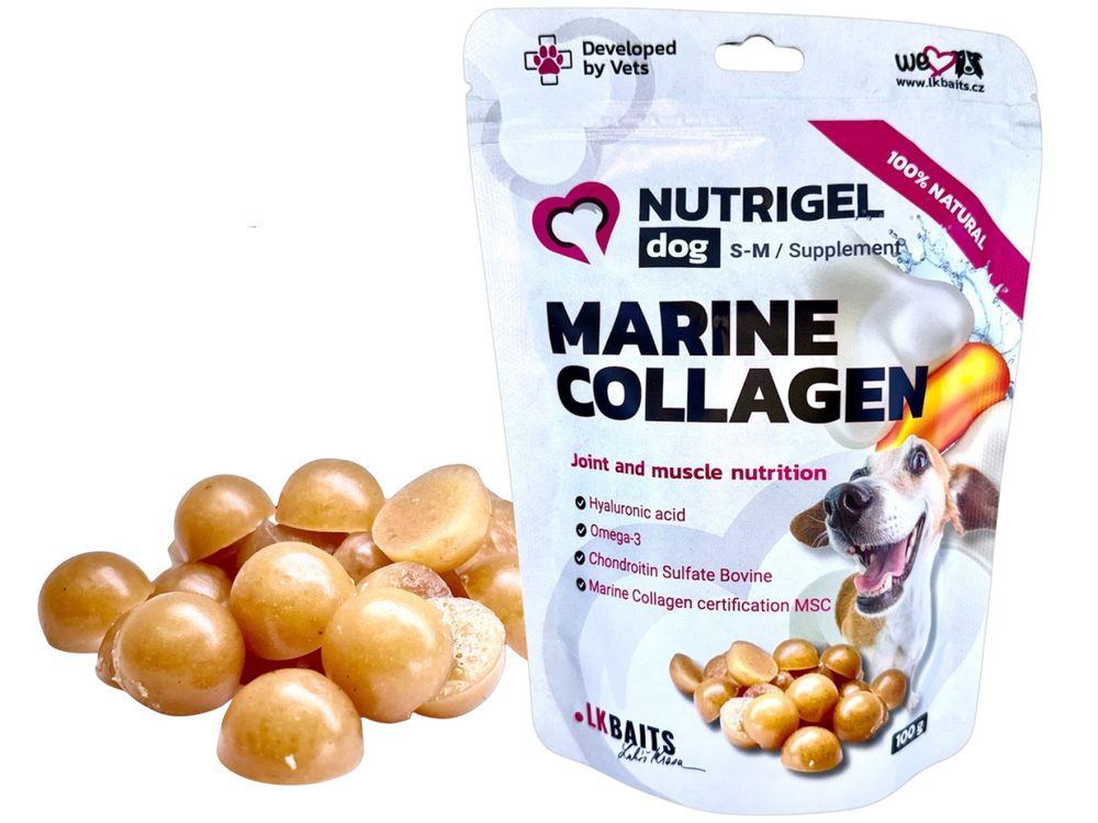 LK Baits Pet Kolagen Nutrigel Dog Marine Collagen,LK Baits Pet Kolagen Nutrigel Dog Marine Collagen