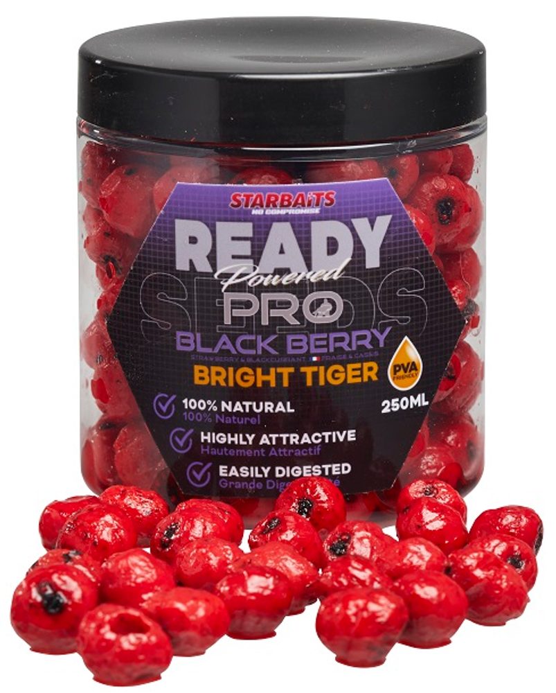 Fotografie Starbaits Tygří ořech Bright Ready Seeds Pro 250ml - Blackberry