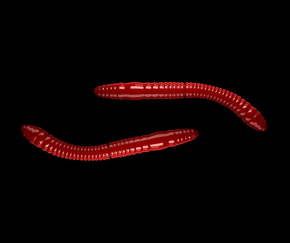E-shop Libra Lures Fatty D’Worm Red Cheese - D’Worm 6,5cm 10ks,Libra Lures Fatty D’Worm Red Cheese - D’Worm 6,5cm 10ks
