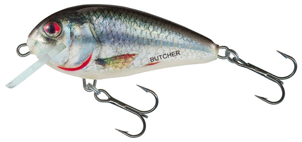 E-shop Salmo Wobler Butcher Floating Holographic Real Dace - 5g 5cm,Salmo Wobler Butcher Floating Holographic Real Dace - 5g 5cm