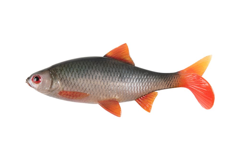 Fox Rage Gumová nástraha Ultra Natural Roach - 18cm  62g,Fox Rage Gumová nástraha Ultra Natural Roach - 18cm  62g