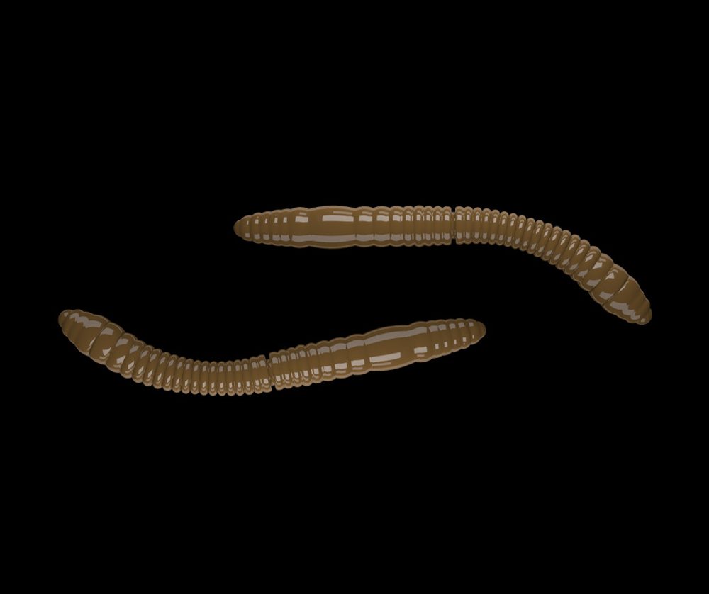 E-shop Libra Lures Fatty D’Worm Brown - D’Worm 6,5cm 10ks,Libra Lures Fatty D’Worm Brown - D’Worm 6,5cm 10ks