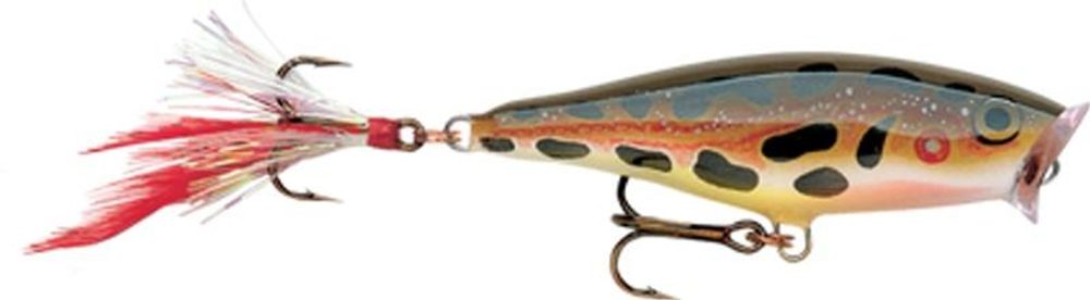 E-shop Rapala Wobler Skitter Pop Top Water Fresh F - 5cm 7g,Rapala Wobler Skitter Pop Top Water Fresh F - 5cm 7g