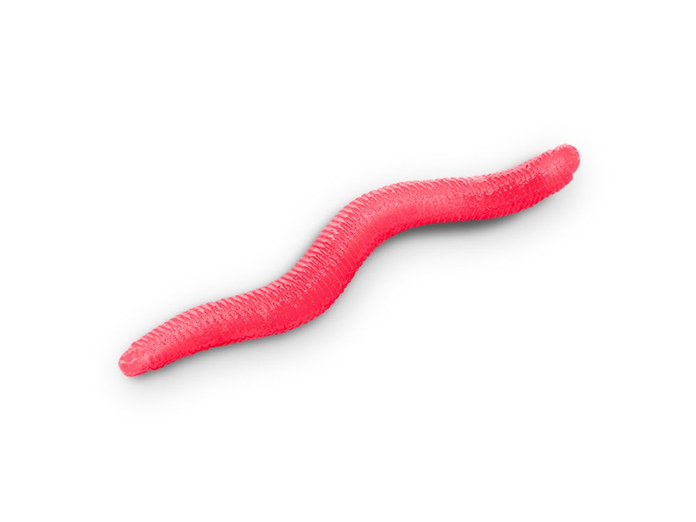 E-shop Delphin Umělá nástraha B! StinxWorm 50ks - 4cm Cheese/Fire,Delphin Umělá nástraha B! StinxWorm 50ks - 4cm Cheese/Fire
