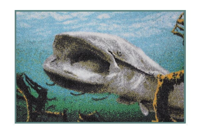 Delphin Rohožka 3D sumec pod hladinou
