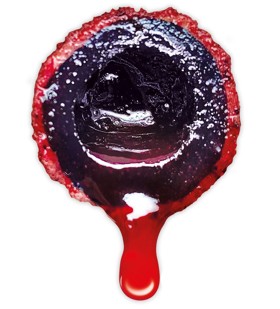 E-shop LK Baits Nutrigo Extra Bloodworm,LK Baits Nutrigo Extra Bloodworm