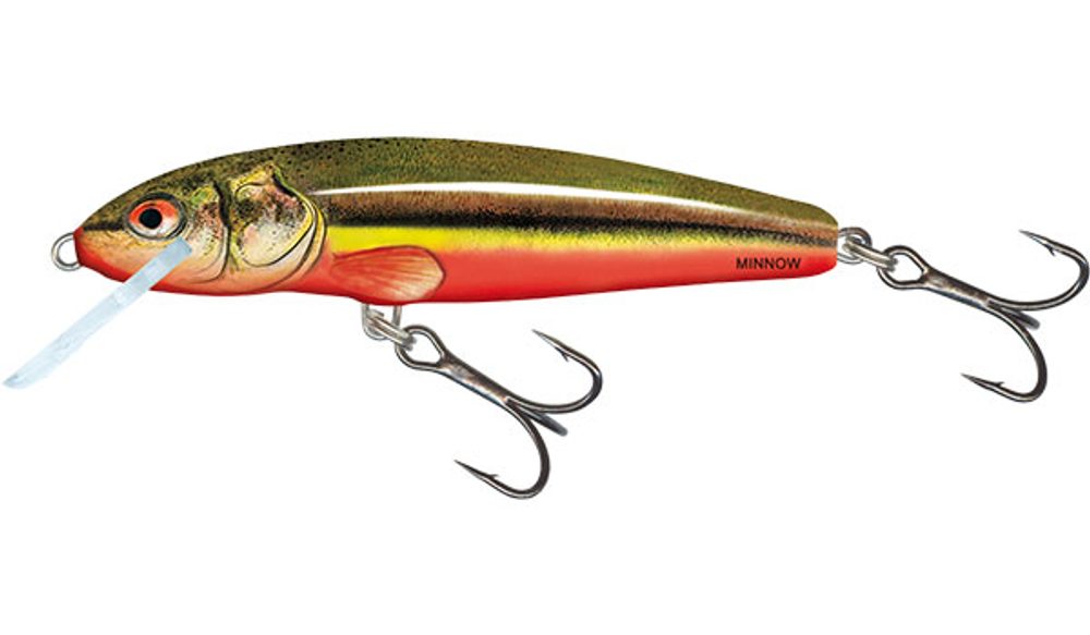 Salmo Wobler Minnow Floating 5cm - Rainbow Dace