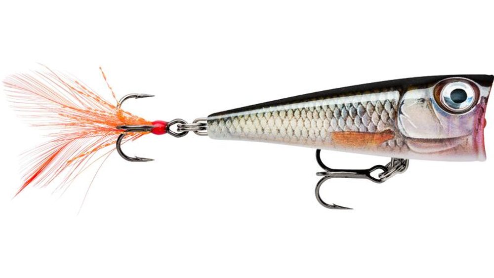 Rapala Wobler X-Light Pop Live Roach,Rapala Wobler X-Light Pop Live Roach