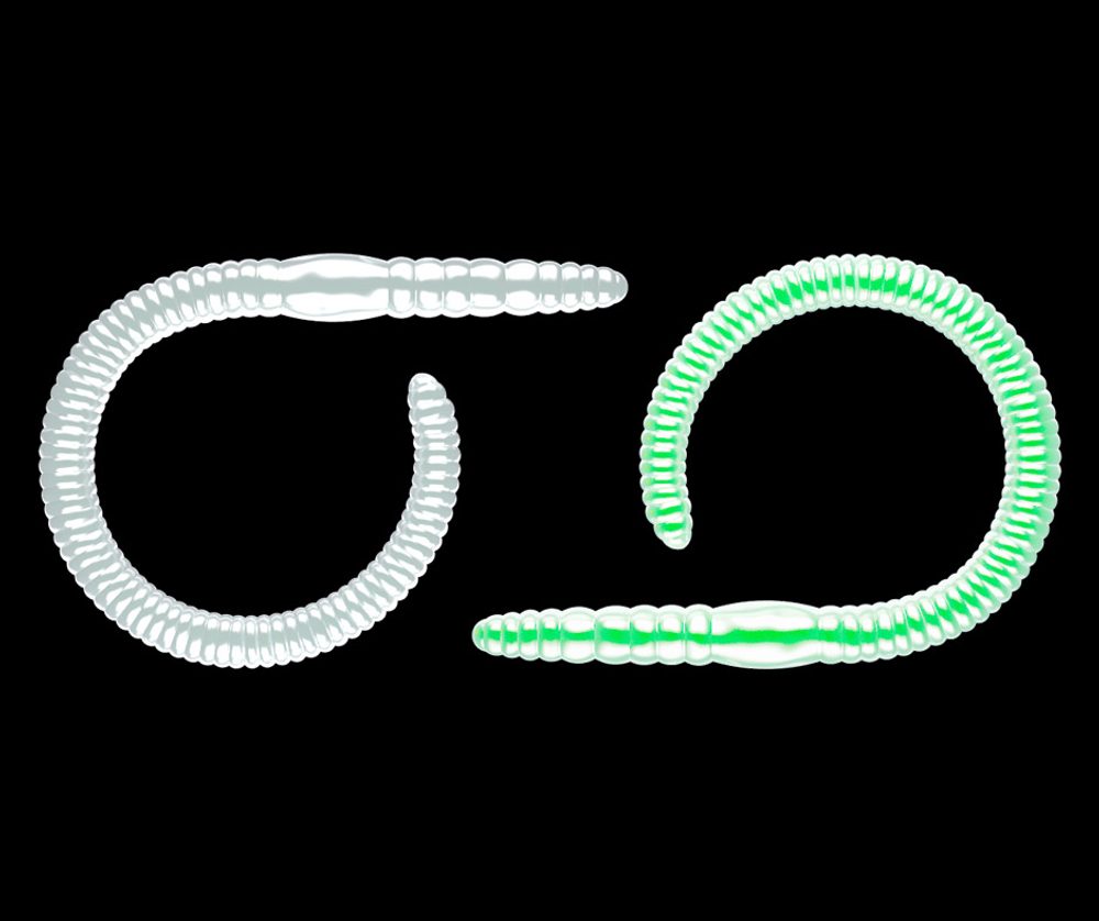 E-shop Libra Lures Flex Worm 9,5cm 10ks,Libra Lures Flex Worm 9,5cm 10ks