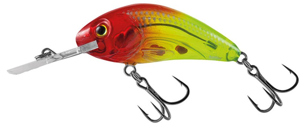 Salmo Wobler Rattlin Hornet Clear Floating Clear Bright Red Head
