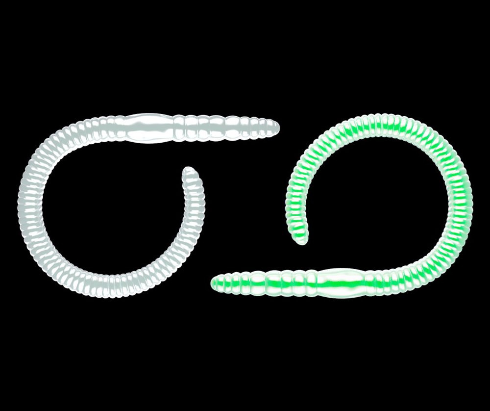 E-shop Libra Lures Flex Worm 9,5cm 10ks - Glow UV Green